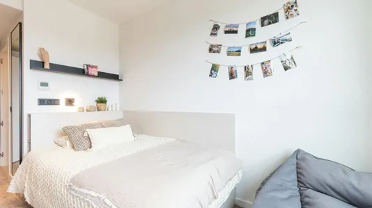 Rooms in Las Higueras - photo 2