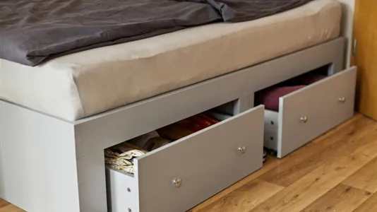 Apartments in Dresden - photo 5