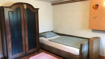 Room for rent in Besnica, Osrednjeslovenska