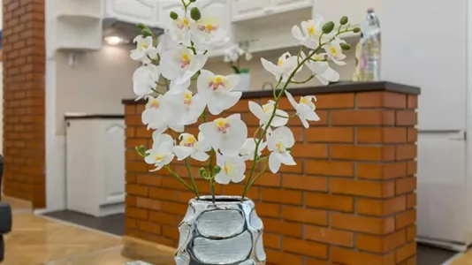 Apartments in Budapest Várkerület - photo 4