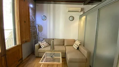 Apartment for rent in Barcelona Ciutat Vella, Barcelona