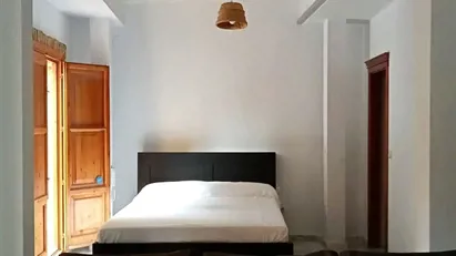 Apartment for rent in Valencia Ciutat Vella, Valencia (region)