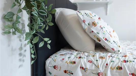 Rooms in Milano Zona 4 - Vittoria, Forlanini - photo 9