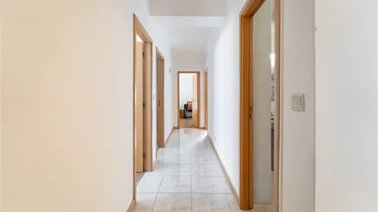 Rooms in Braga - photo 7