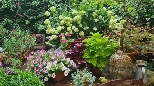 Rooms in Frankfurt Innenstadt I - photo 8