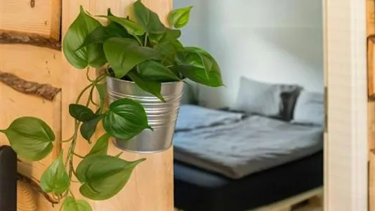 Apartments in Ljubljana Polje - photo 4