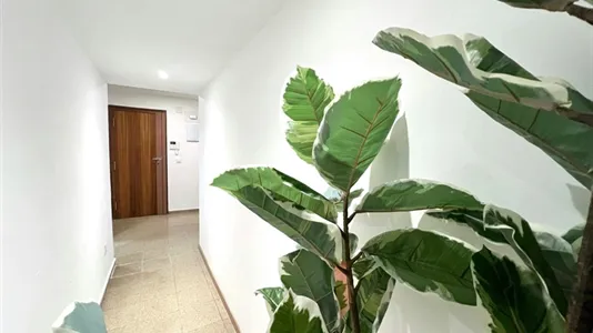 Rooms in Tavernes Blanques - photo 8