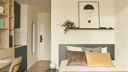 Apartment for rent in Madrid Centro, Madrid