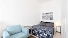 Room for rent, Padua, Veneto, Via Trieste, Italy