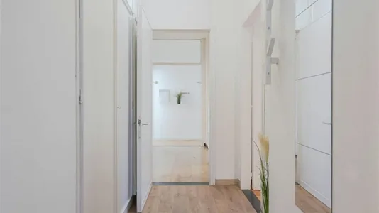 Rooms in Padua - photo 9