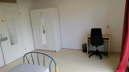 Room for rent in Amsterdam
