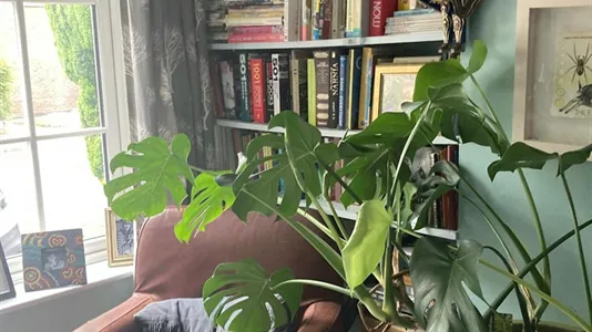 Rooms in Dublin 7 - photo 9