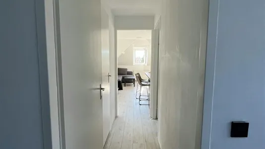 Apartments in Rotterdam Charlois - photo 6