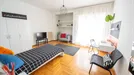 Room for rent, Udine, Friuli-Venezia Giulia, Via Savorgnana, Italy