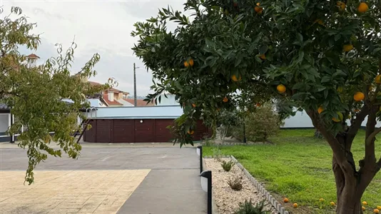 Houses in Ourém - photo 10