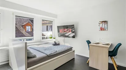 Apartment for rent in Winterthur, Zürich (Kantone)
