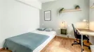 Room for rent, Valladolid, Castilla y León, Calle Numancia, Spain