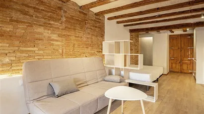 Apartment for rent in Barcelona Ciutat Vella, Barcelona