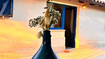 Apartment for rent in Roma Municipio IX – EUR, Rome