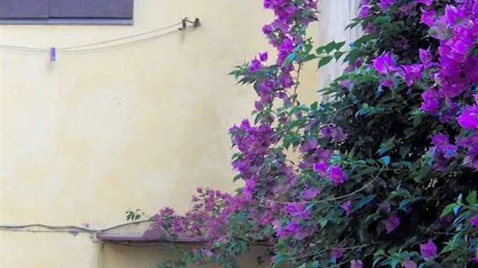 Houses in Florence - photo 6