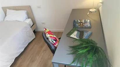 Room for rent in Padua, Veneto