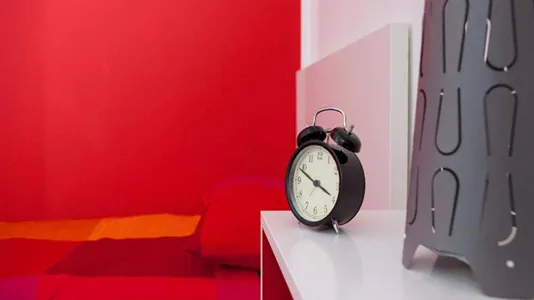 Rooms in Bologna - photo 7