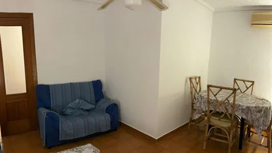 Apartments in Elche/Elx - photo 4