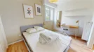 Room for rent, Montpellier, Occitanie, &lt;span class=&quot;blurred street&quot; onclick=&quot;ProcessAdRequest(9566557)&quot;&gt;&lt;span class=&quot;hint&quot;&gt;See streetname&lt;/span&gt;[xxxxxxxxxxxxx]&lt;/span&gt;