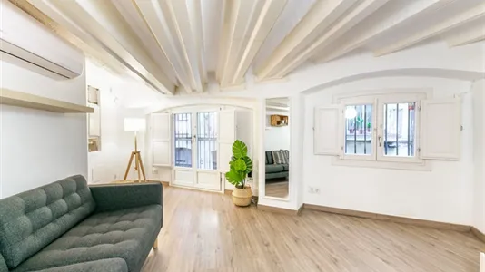 Apartments in Barcelona Ciutat Vella - photo 8