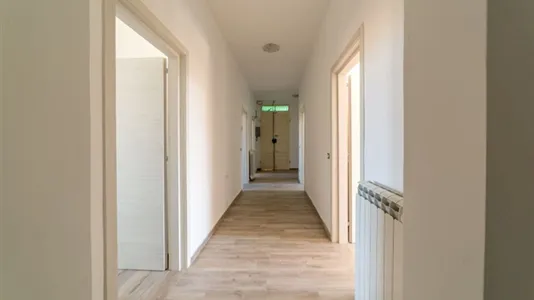 Rooms in Florence - photo 9