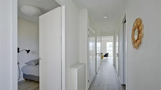 Apartments in Amsterdam Zeeburg - photo 10