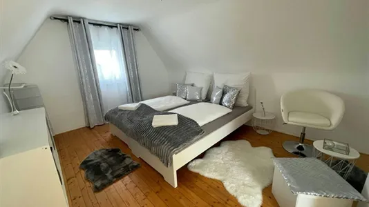 Houses in Groß-Gerau - photo 7