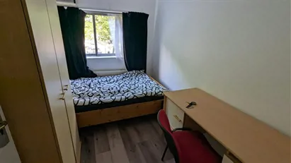 Room for rent in Amsterdam