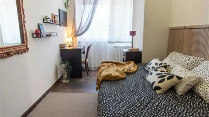 Room for rent in Roma Municipio VIII – Appia Antica, Rome