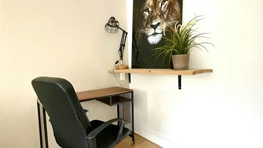 Apartments in Rotterdam Centrum - photo 5