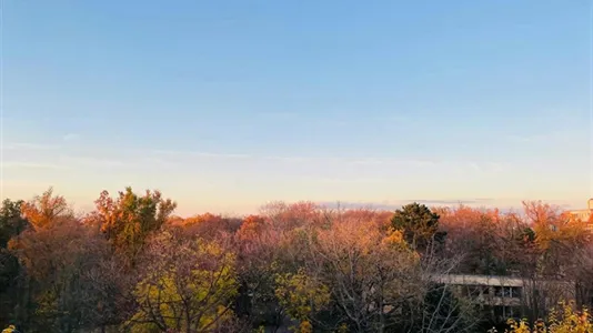 Apartments in Berlin Neukölln - photo 4