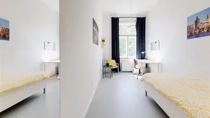 Room for rent in Prague 1, Prague