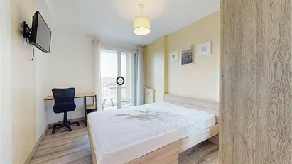 Room for rent in Toulouse, Occitanie