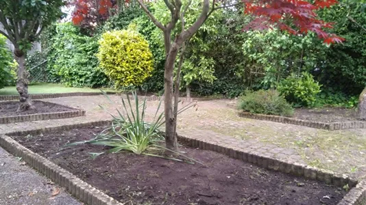 Rooms in Dordrecht - photo 9