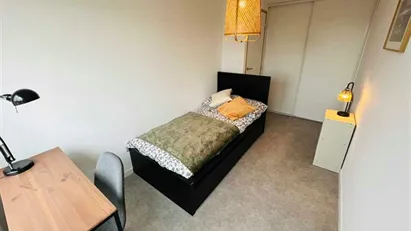 Room for rent in Lyon, Auvergne-Rhône-Alpes Room for rent in Lyon, Auvergne-Rhône-Alpes