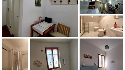 Room for rent in Siena, Toscana Room for rent in Siena, Toscana