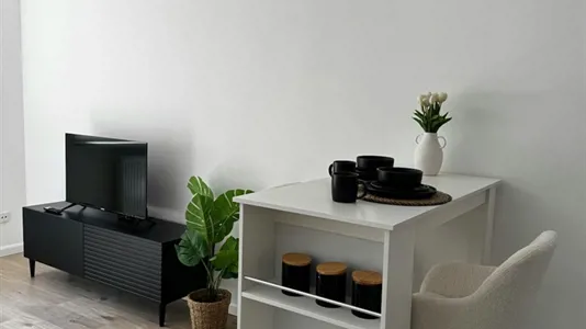 Apartments in Mannheim - photo 2
