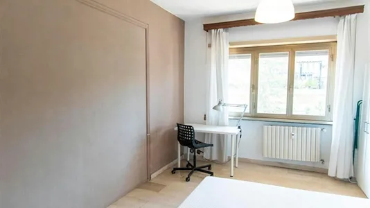 Rooms in Roma Municipio VIII – Appia Antica - photo 2