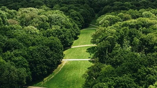 Rooms in Location is not specified - photo 9