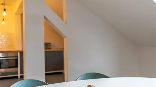 Rooms in Offenbach am Main - photo 4