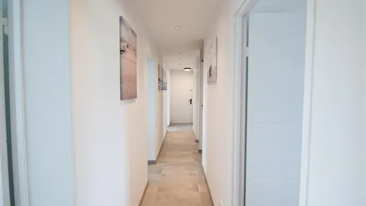 Rooms in Strasbourg - photo 4