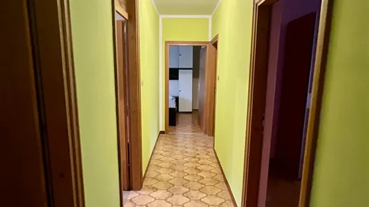 Apartments in Divača - photo 3