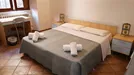 Room for rent, Siena, Toscana, Via del Porrione, Italy