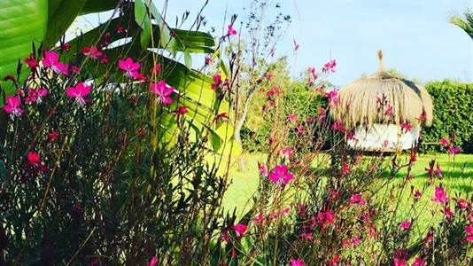 Houses in Palma de Mallorca - photo 6