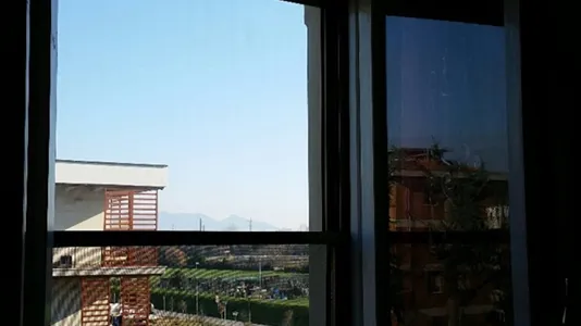 Rooms in Pisa - photo 5